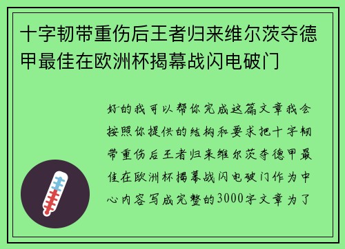 十字韧带重伤后王者归来维尔茨夺德甲最佳在欧洲杯揭幕战闪电破门